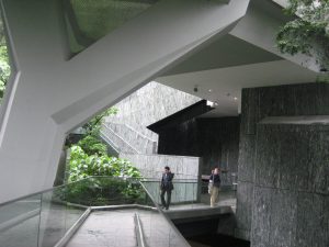 IMG_6909